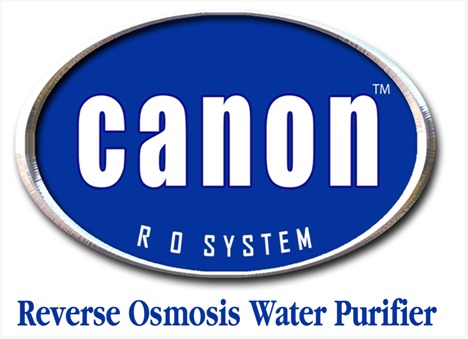 Canon International Logo